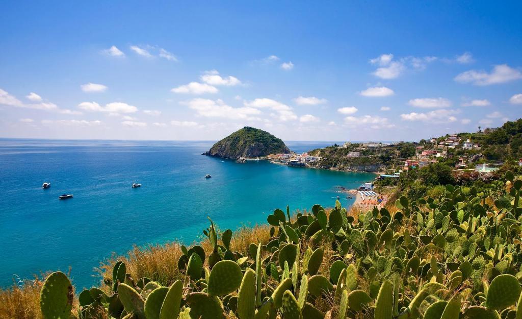 Hotel Vittorio Beach Resort Barano dʼIschia Екстериор снимка